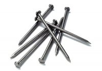 Необычная выставка открылась в Нижнем Новгороде