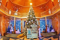 Экскурсионно-развлекательный тур к Деду Морозу