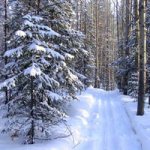 Празднование Нового Года на базе отдыха "Альбатрос"