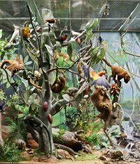 Москва, "В мире животных"