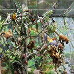 Москва, "В мире животных"